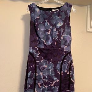 Anthropologie Tabitha Dress